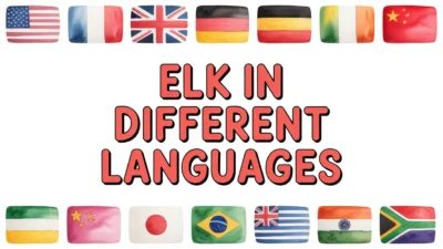 Elk in Different Languages