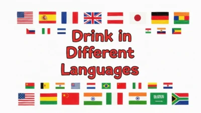 600+ Drink in Different Languages 2026