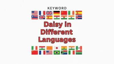 Daisy in Different Languages