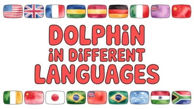 Dolphin in Different Languages