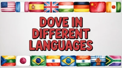 Dove in Different Languages