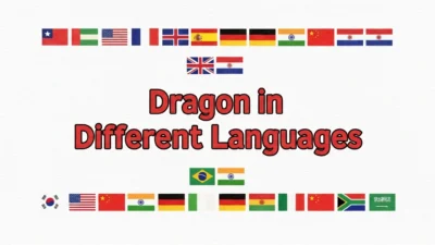 Dragon in Different Languages
