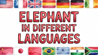Elephant in Different Languages