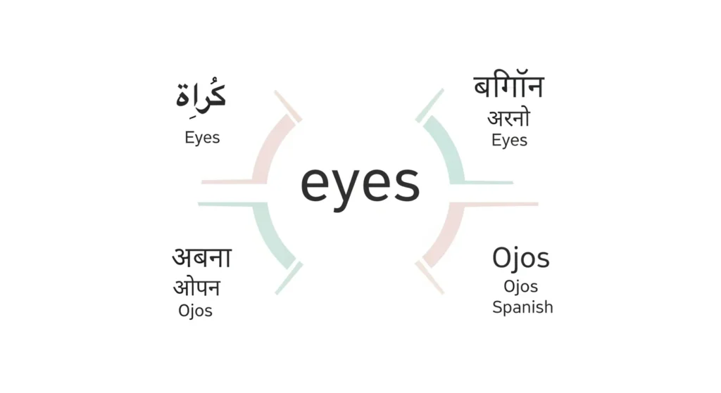 Eyes in Different Languages