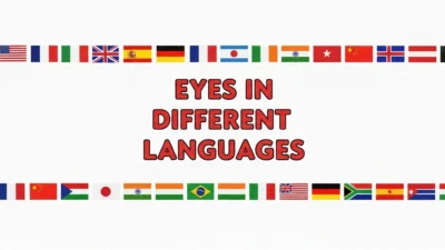 Eyes in Different Languages