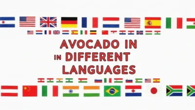 Avocado in Different Languages