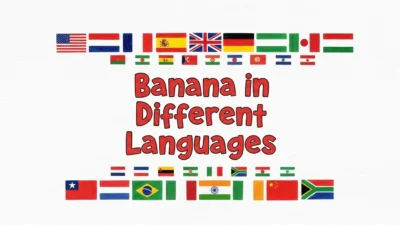 Banana in Different Languages