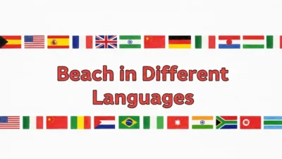 Beach in Different Languages