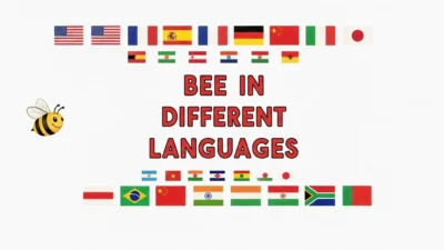 Bee in Different Languages