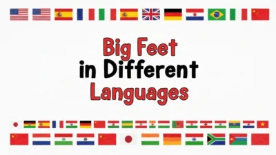 Big Feet in Different Languages