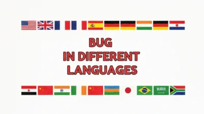 Bug in Different Languages
