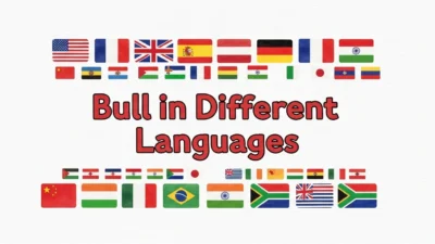 Bull in Different Languages