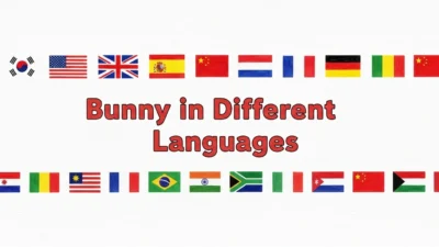 Bunny in Different Languages