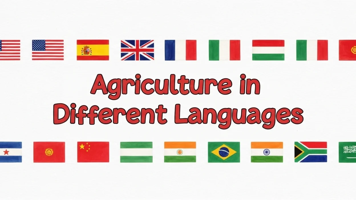 Agriculture in Different Languages