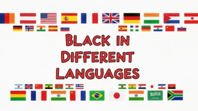 Black in Different Languages