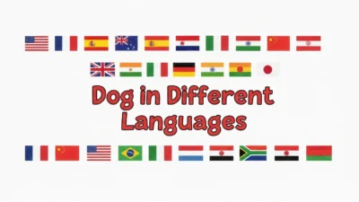Dog in Different Languages