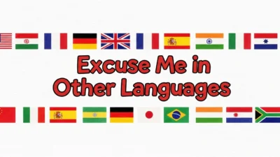Excuse Me in Other Languages