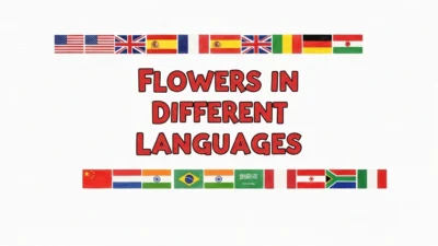 Flowers in Different Languages