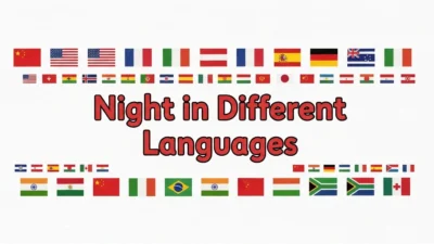 Night in Different Languages