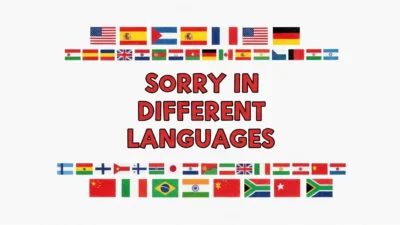 Sorry in Different Languages
