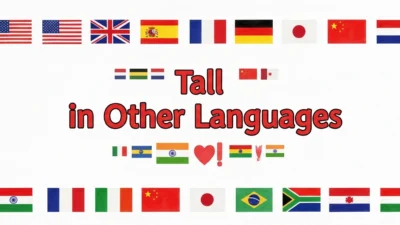 Tall in Other Languages