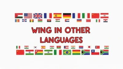 Wing in Other Languages