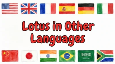 Lotus in Other Languages