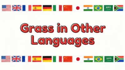 Grass in Other Languages