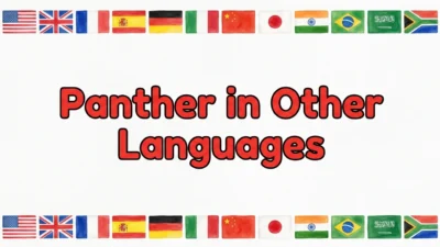 Panther in Other Languages