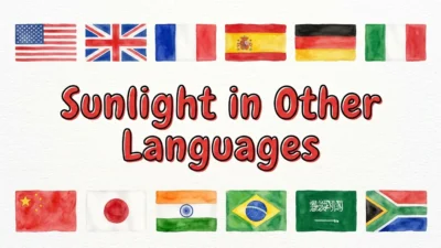 Sunlight in Other Languages